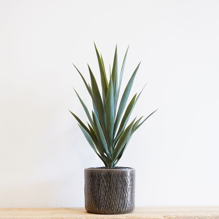 Yucca Head Potted Artificial Plant