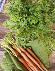 Carrot leaves