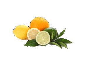 Lemon Fruit And Leaves - IMAGE BY iSTOCK