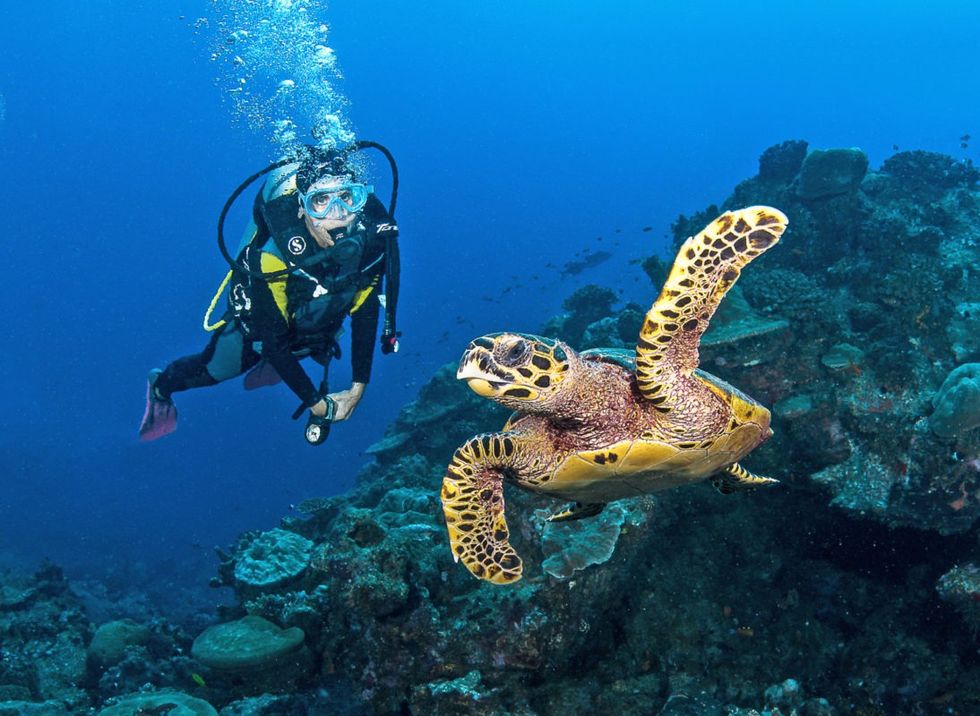 Seychelles outer islands scubs diving