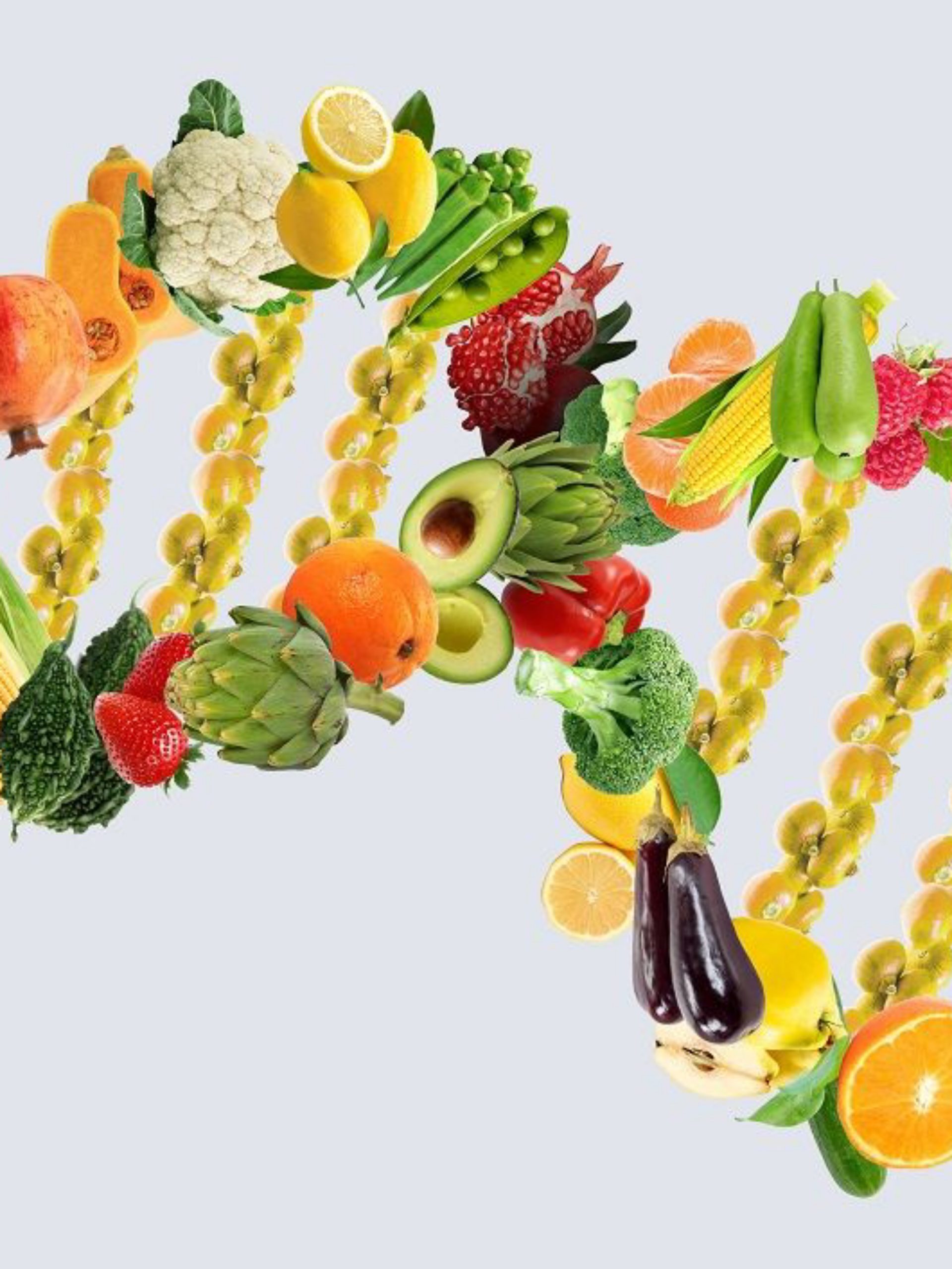 Is Blondeadobo The Future Of Food? - 9m7apu4